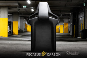 Civic TypeR FK8 Civic FK8 Carbon Seat Back Cover - Pegasus Carbon